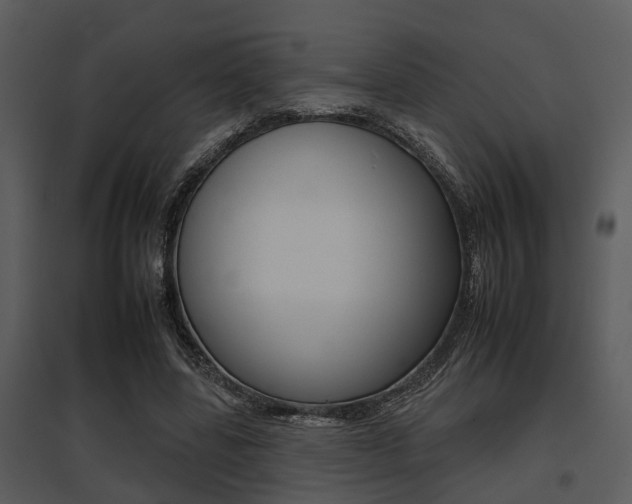 X0000095670539200801081042