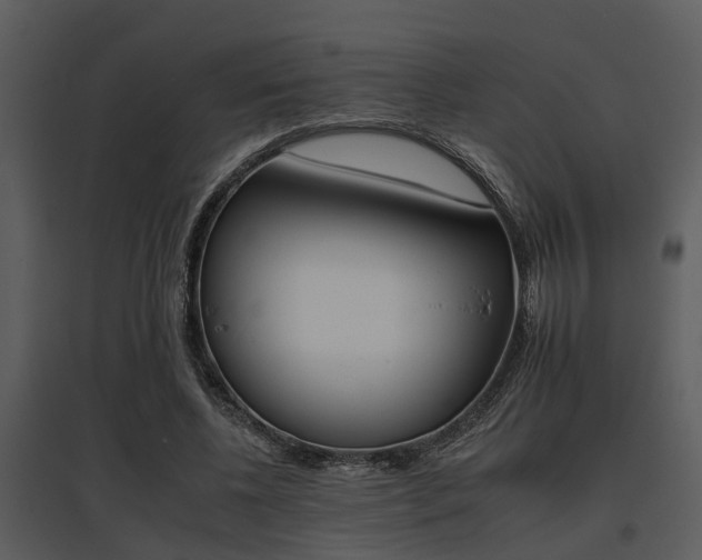 X0000095670540200801081042
