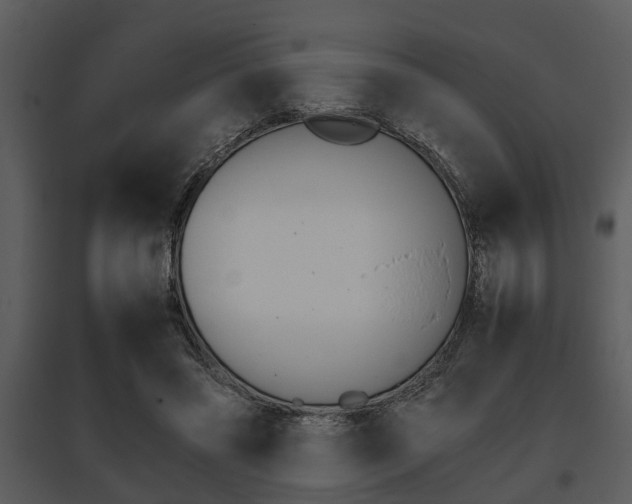 X0000095670541200801081042
