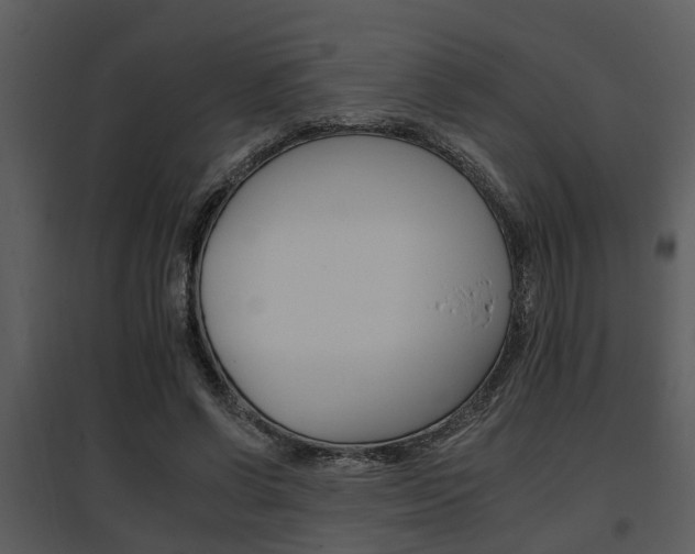 X0000095670542200801081042