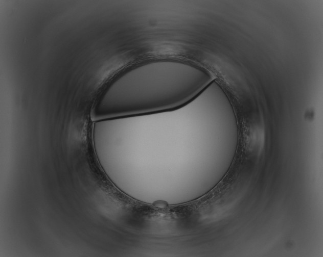 X0000095670543200801081042