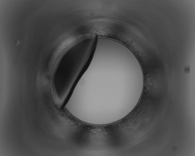 X0000095670544200801081042