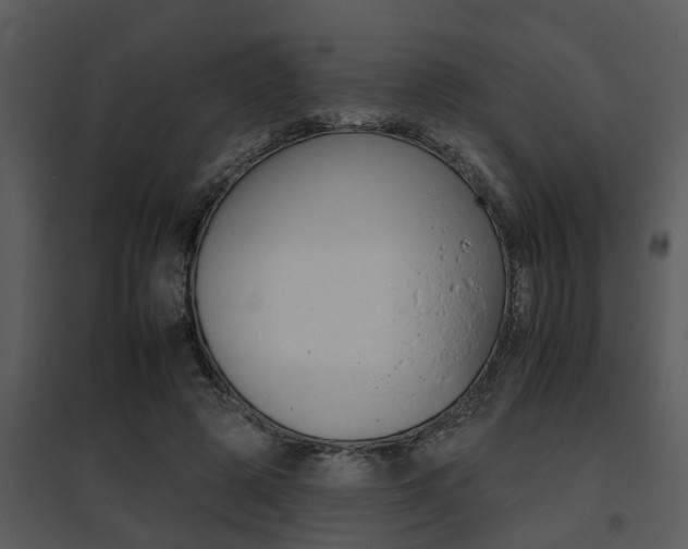 X0000095670545200801081042