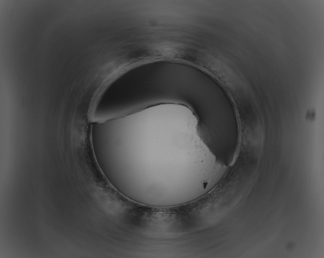 X0000095670546200801081042