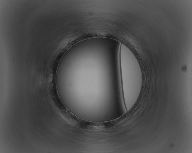 X0000095670548200801081042