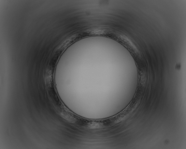 X0000095670549200801081042