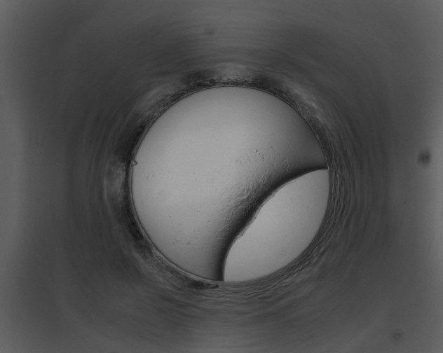 X0000095670550200801081042
