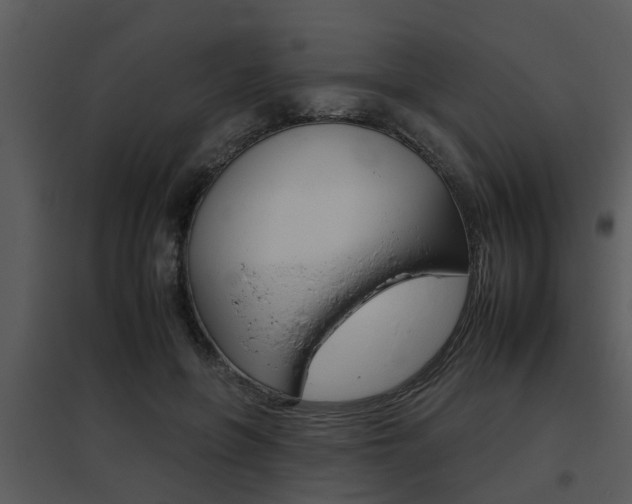 X0000095670551200801081042