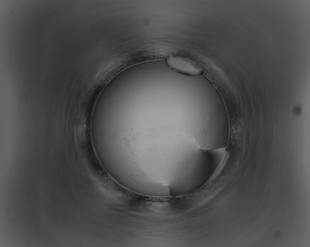 X0000095670552200801081042