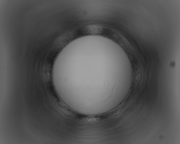 X0000095670553200801081042