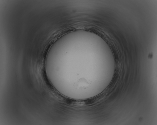 X0000095670554200801081042