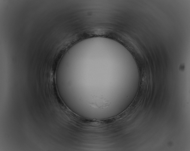 X0000095670555200801081042