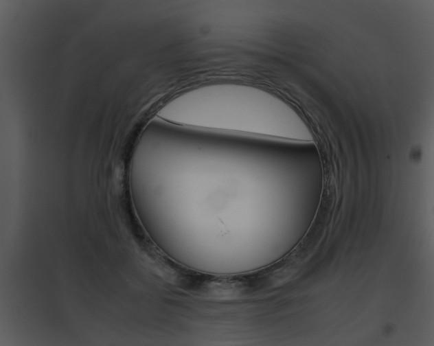 X0000095670556200801081042