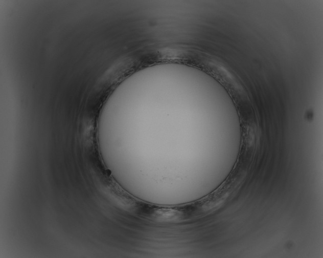 X0000095670557200801081042