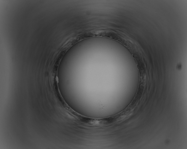 X0000095670558200801081042