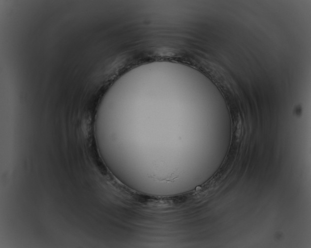 X0000095670559200801081042