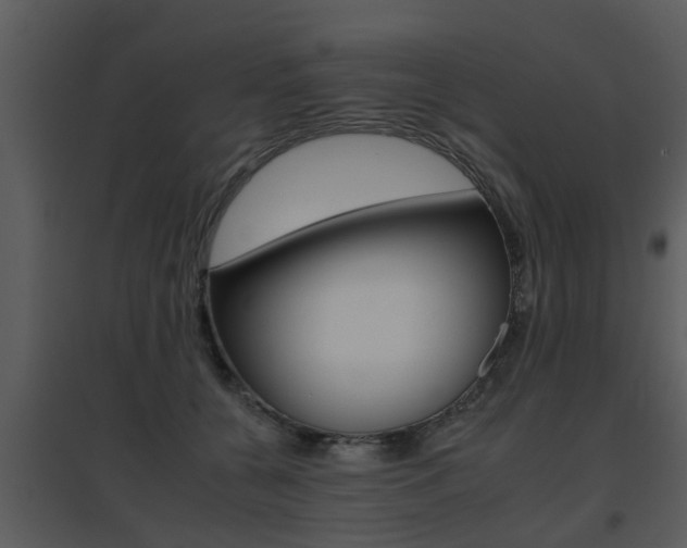 X0000095670560200801081042