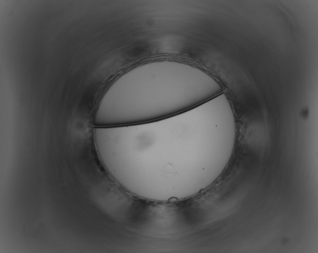 X0000095670561200801081042
