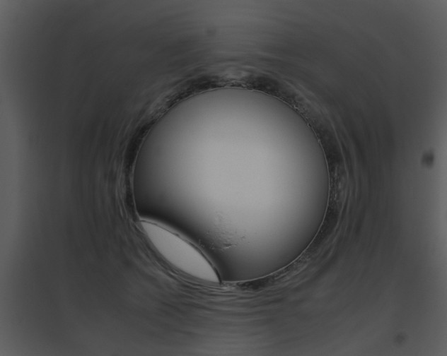 X0000095670562200801081042