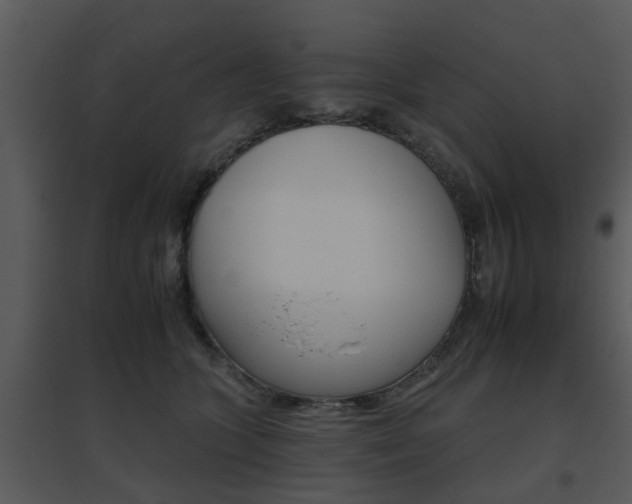 X0000095670563200801081042