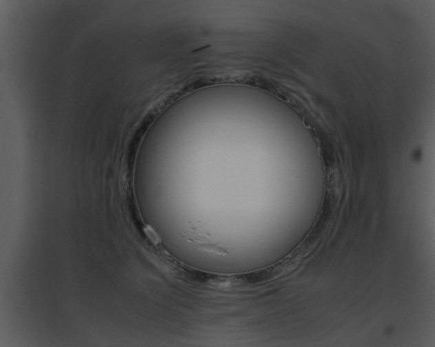 X0000095670564200801081042