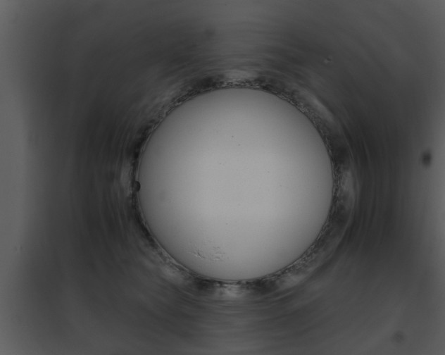 X0000095670565200801081042