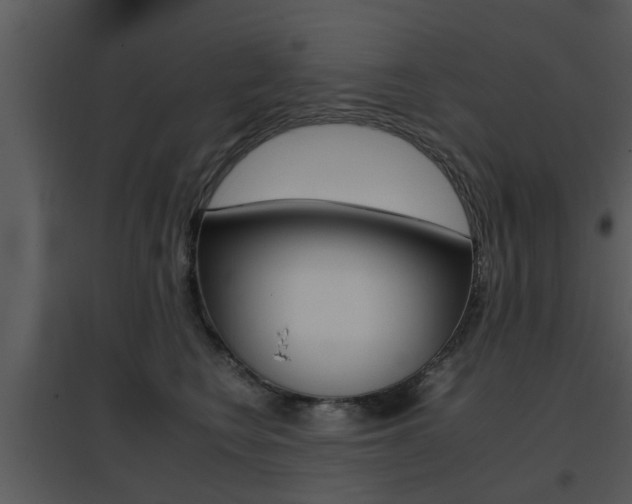 X0000095670566200801081042
