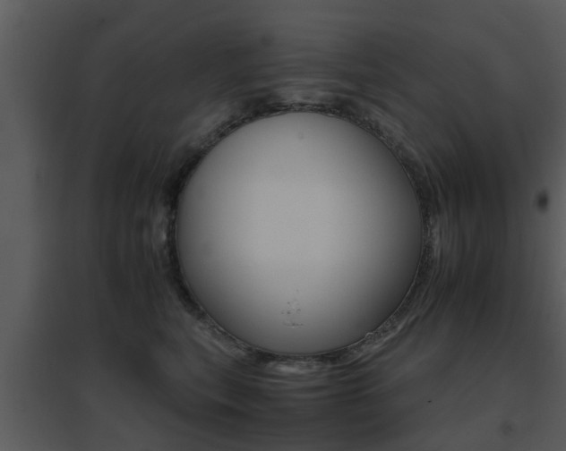 X0000095670567200801081042