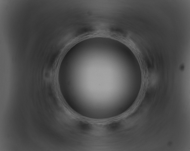 X0000095670568200801081042