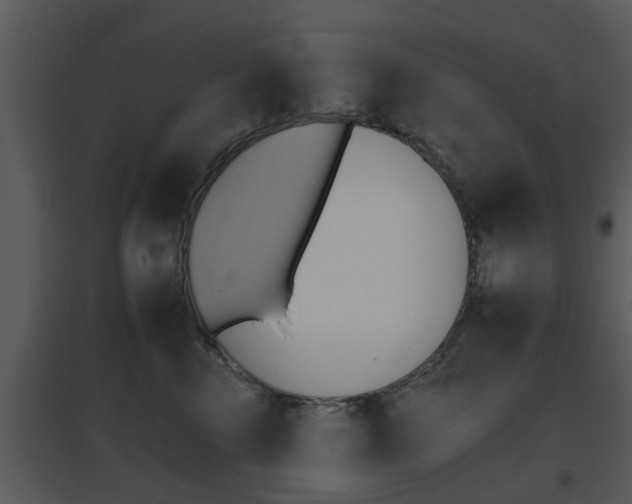 X0000095670569200801081042