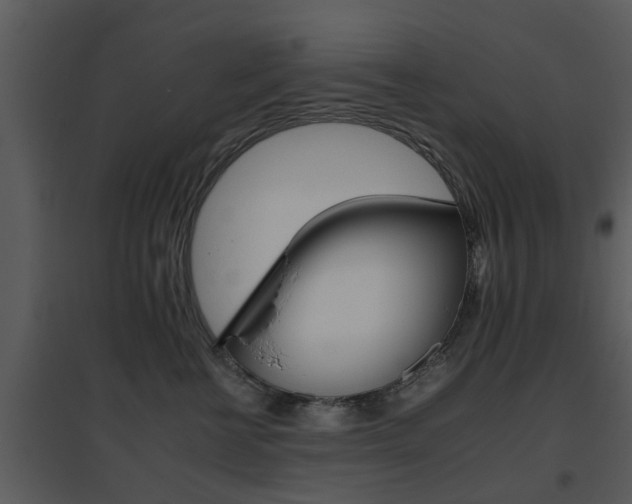 X0000095670570200801081042