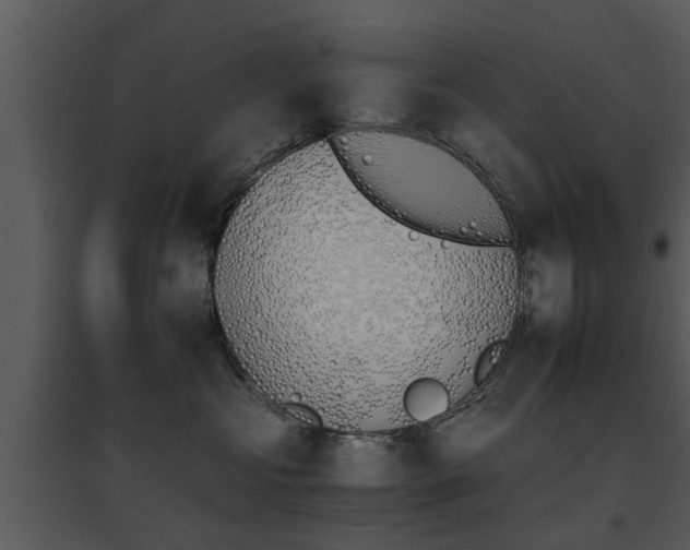X0000095670573200801081042