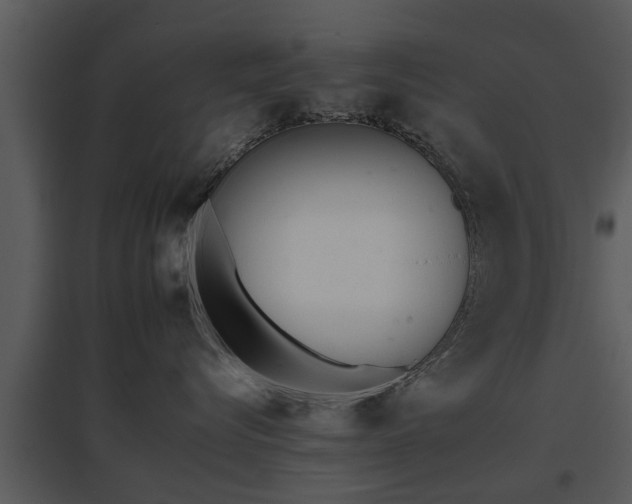 X0000095670576200801081042