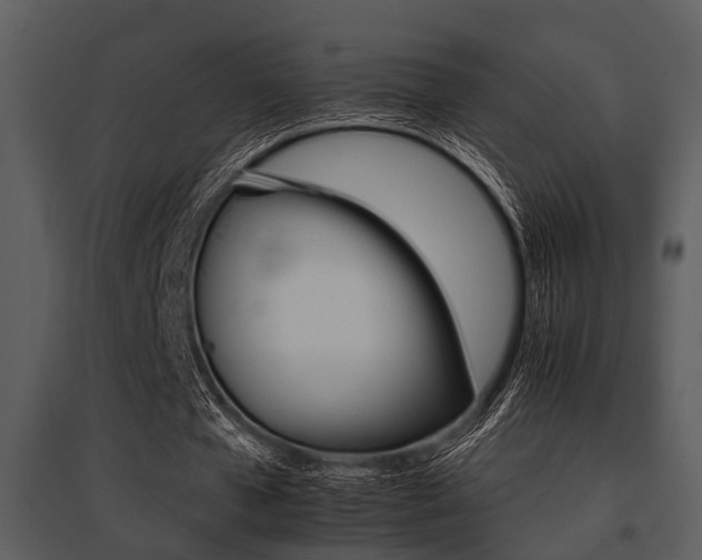 X0000095670577200801081042