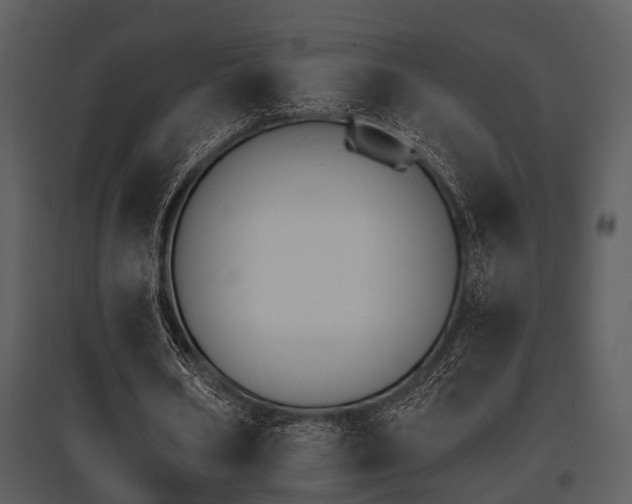 X0000095670578200801081042