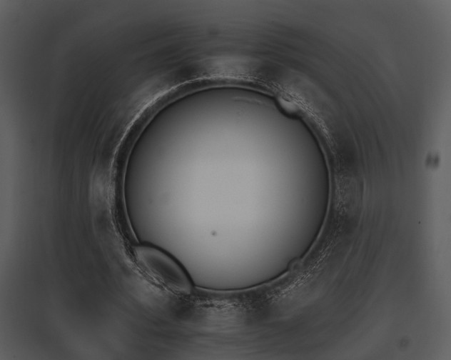 X0000095670580200801081042