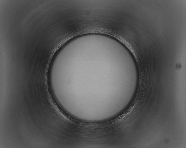 X0000095670581200801081042