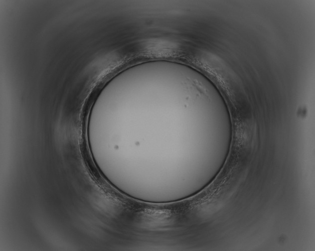 X0000095670582200801081042