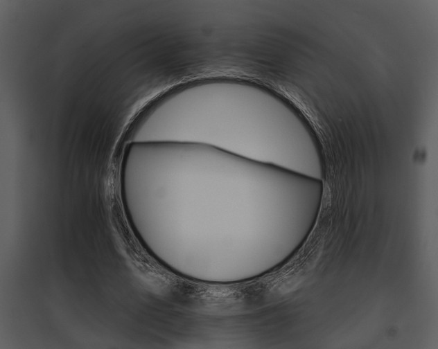 X0000095670583200801081042