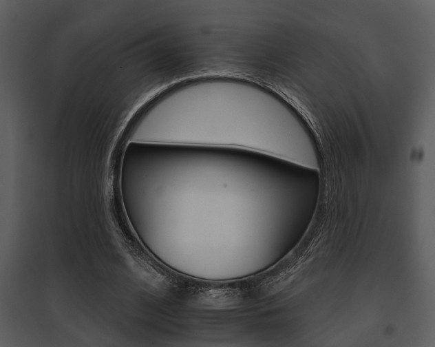 X0000095670584200801081042