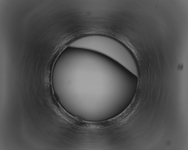 X0000095670585200801081042