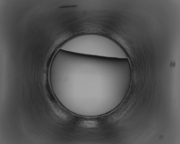 X0000095670586200801081042