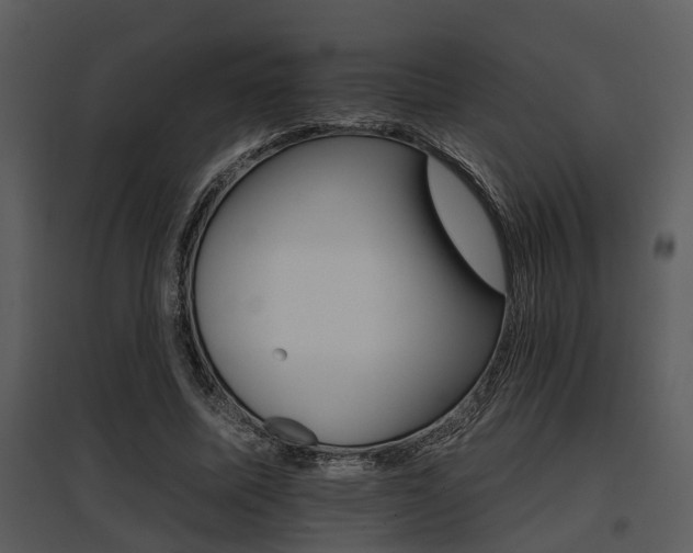 X0000095670587200801081042
