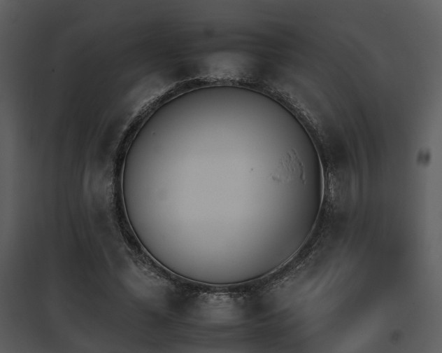 X0000095670588200801081042