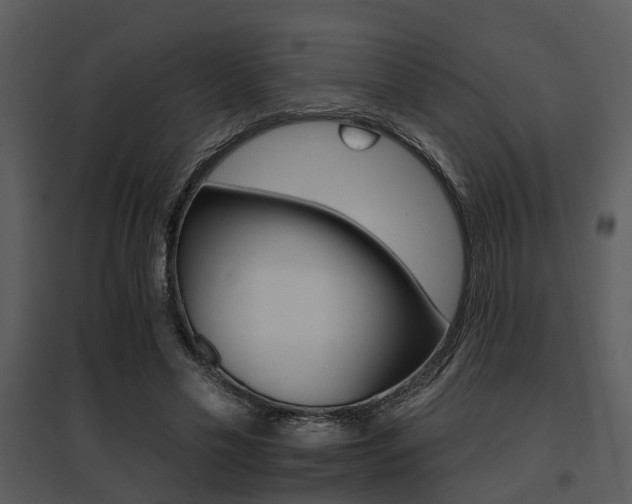 X0000095670589200801081042