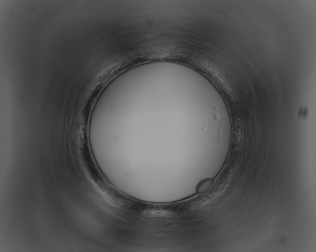 X0000095670590200801081041