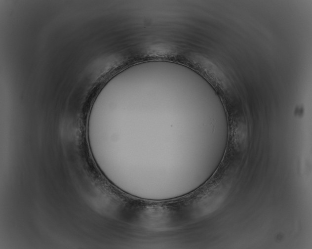 X0000095670591200801081041