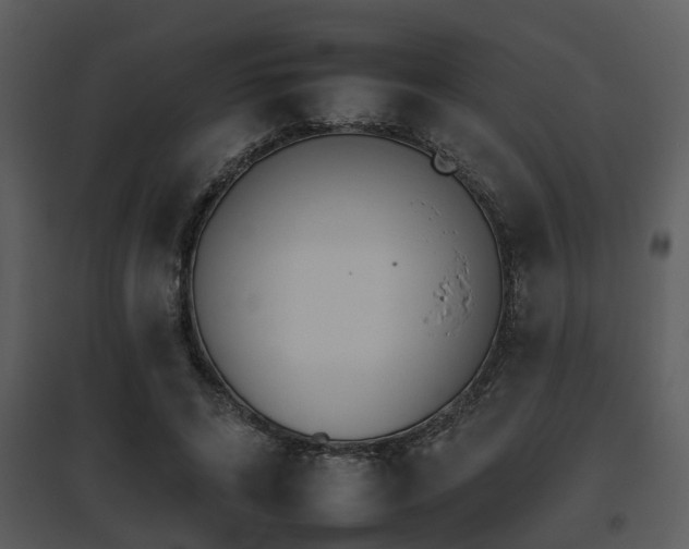 X0000095670592200801081041