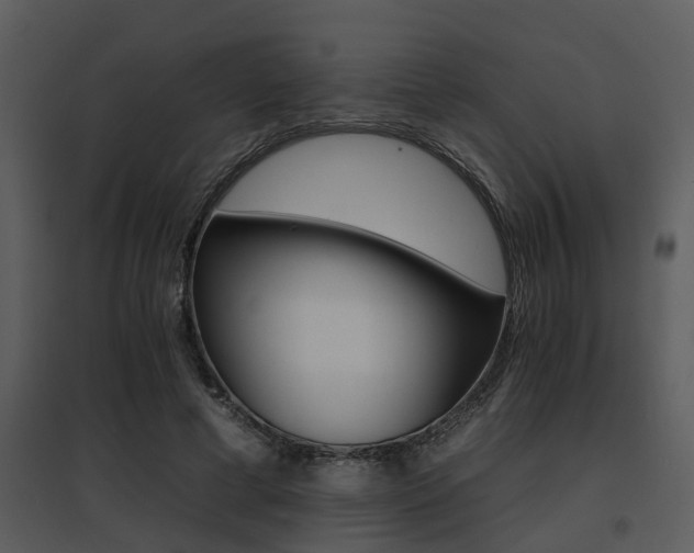 X0000095670593200801081041
