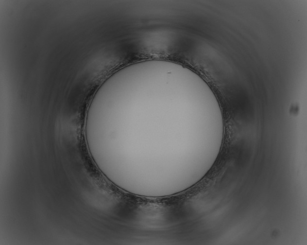 X0000095670594200801081041